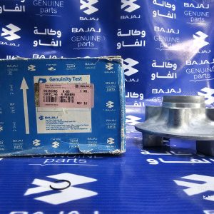 النص البديل 1 حقل