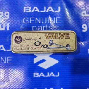 ولف بوكسر صيني