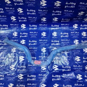 سكان او ستيرن بوكسر صيني نوع جيد